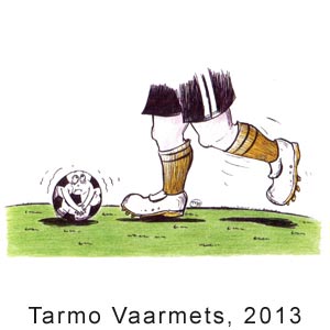 Tarmo Vaarmets, 2013
