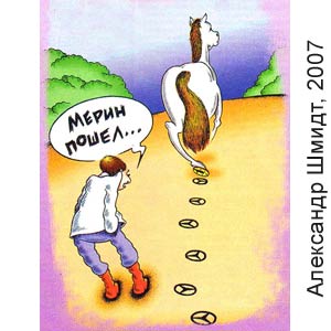��������� �����, ������ �����(�-��), � 40, 2007
