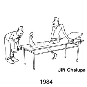 Iiri Chalupa, Dikobraz(Praha), # 3, 1984