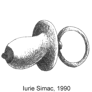 Iurie Simak, Chiparusul(�������), � 17, 1990