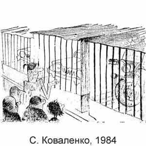 �. ���������, ������������ ������(������), 25.04.1984