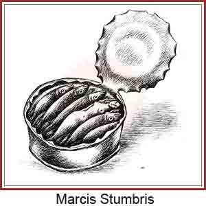 Marcis Stumbris